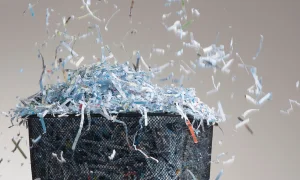 Untitled design - 2024-08-02T003907