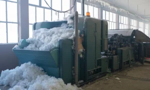 Untitled design - 2024-08-02T004318